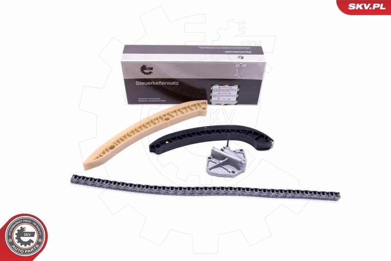 Timing Chain Kit